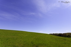 windows xp desktop